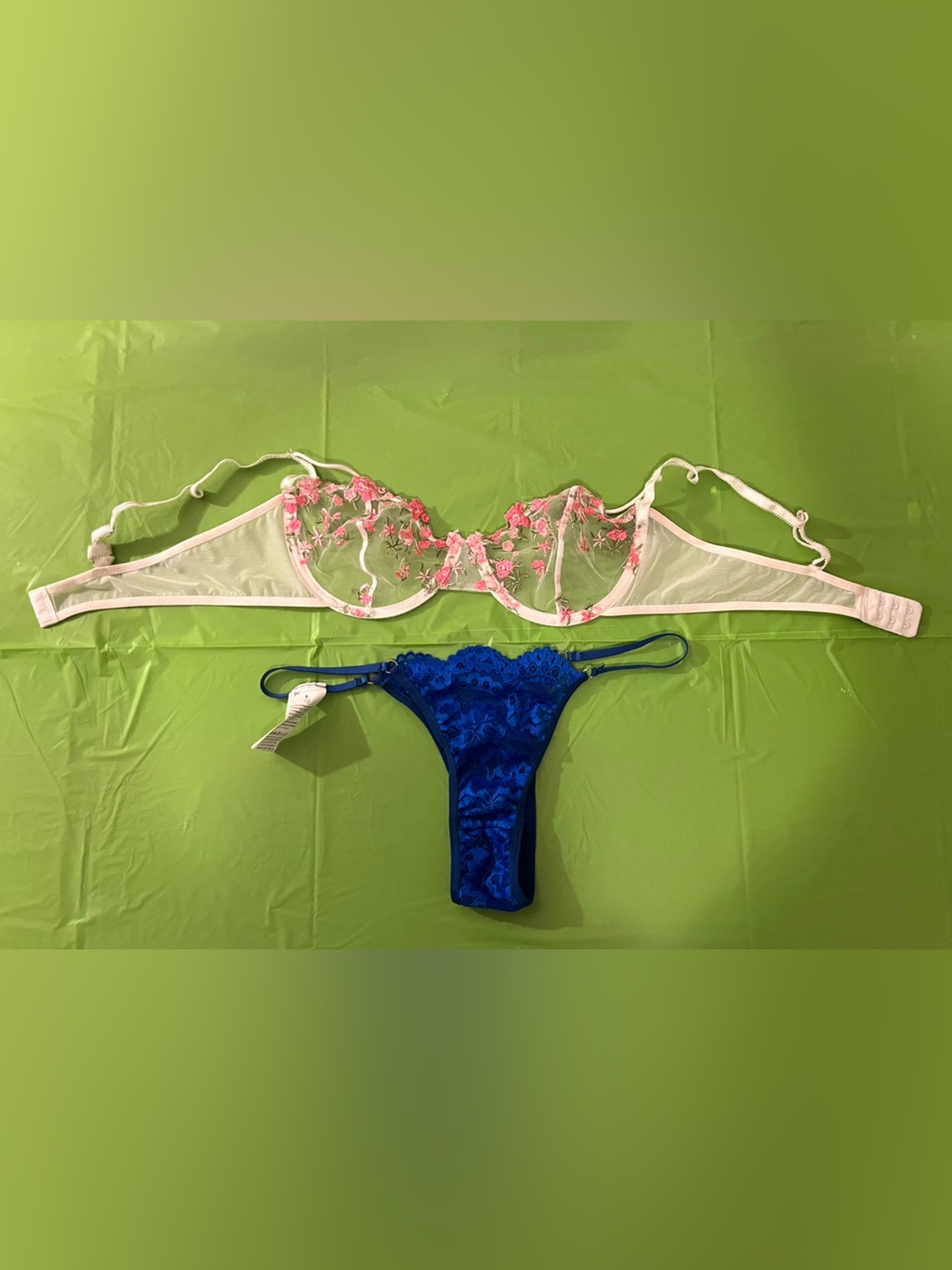 Blue Lace Thong & White Pink Floral Embroidered Bra Set